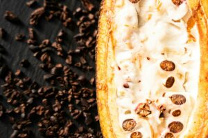La torréfaction du cacao – l’art de révéler les arômes